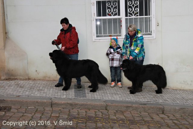 Vánoce 2015