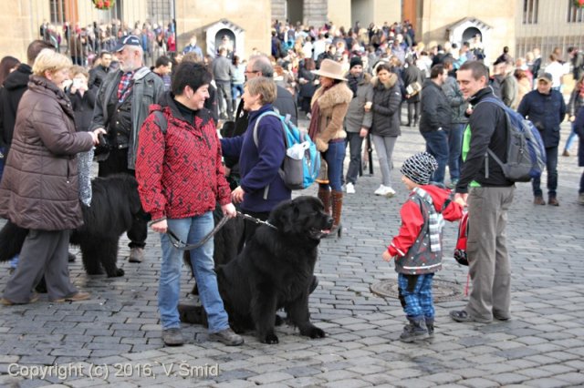 Vánoce 2015