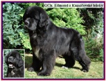 GCH_Edmond_small