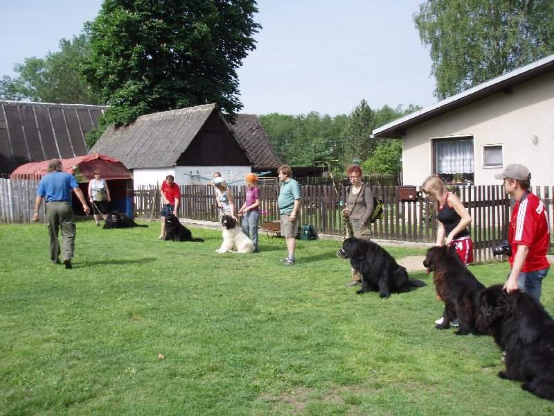 Nástup Nástup