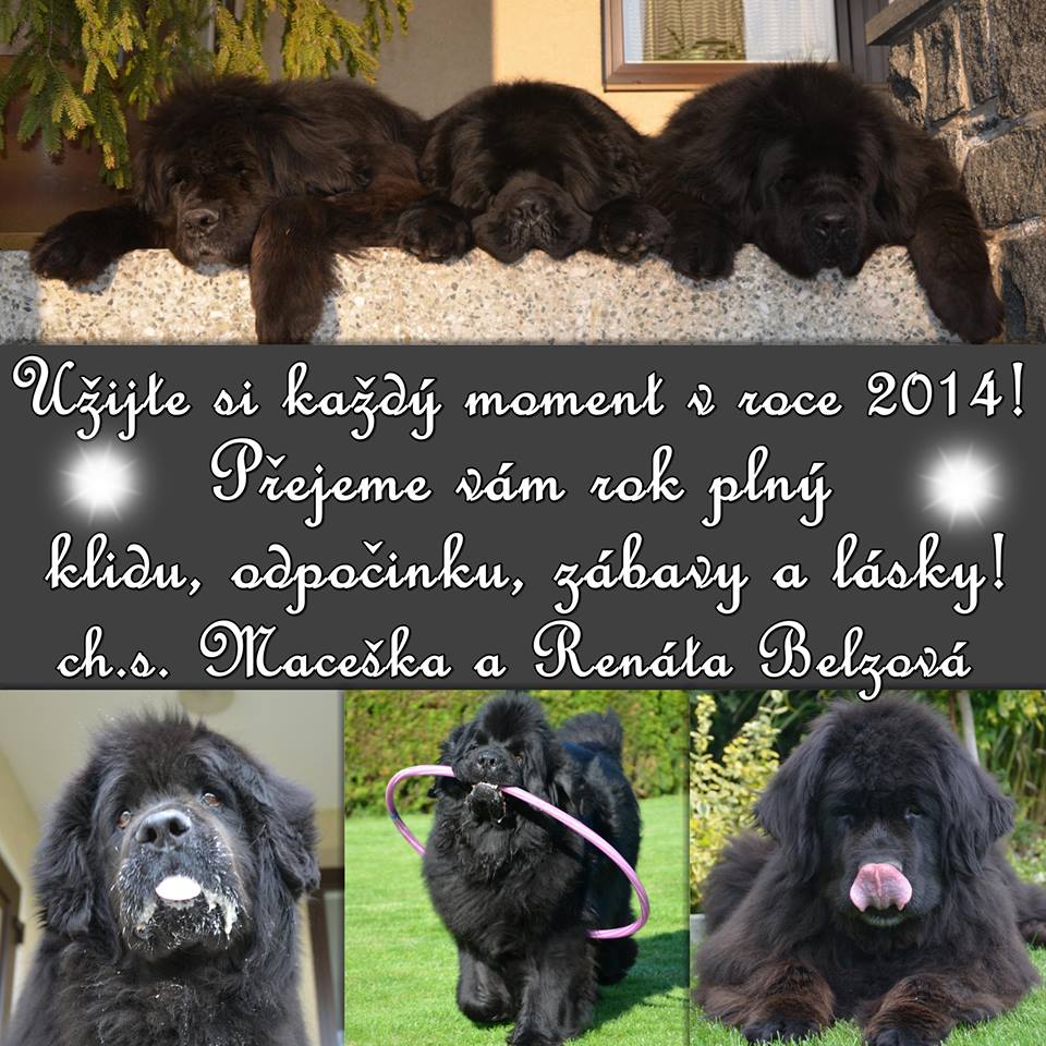 maceska(1)