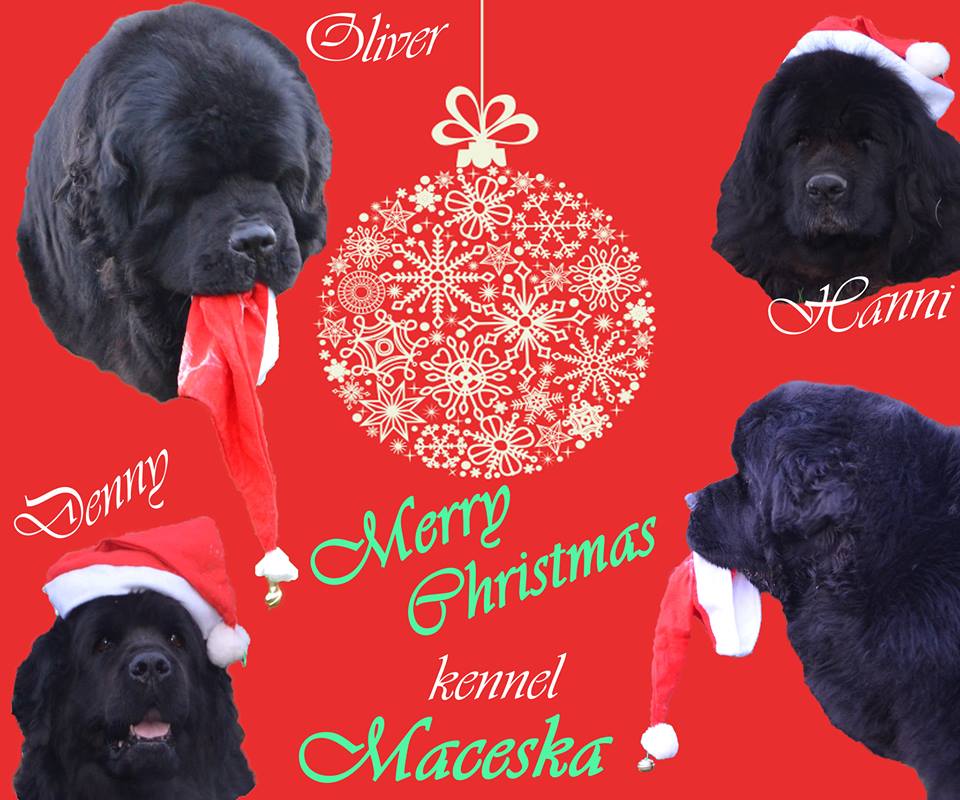maceska