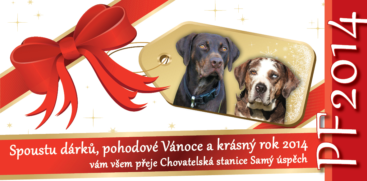 pf 2014-samy-uspech