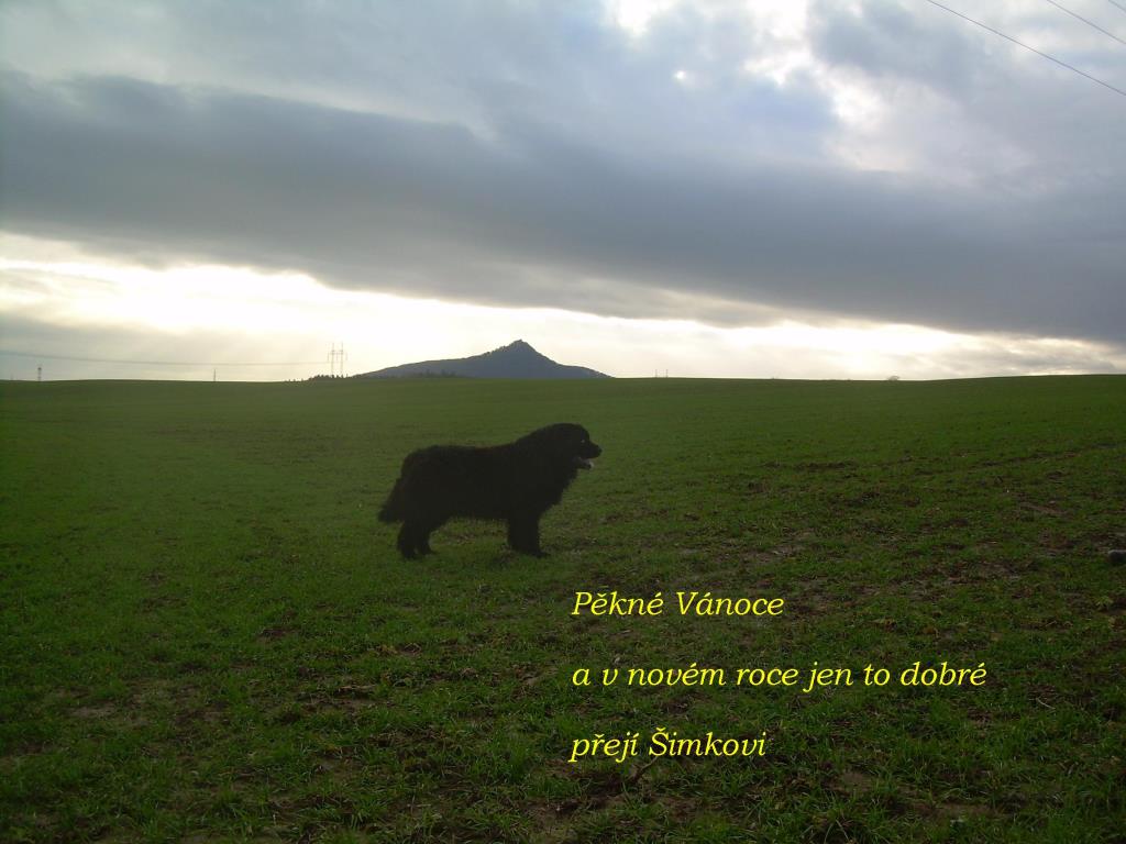 simkovi