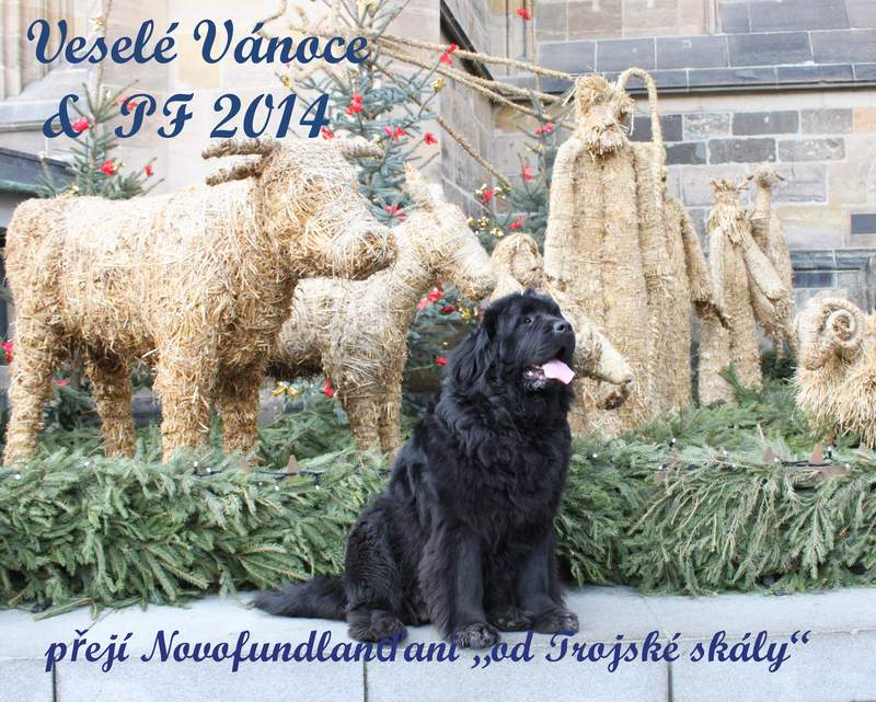 vanoce pf2014 web