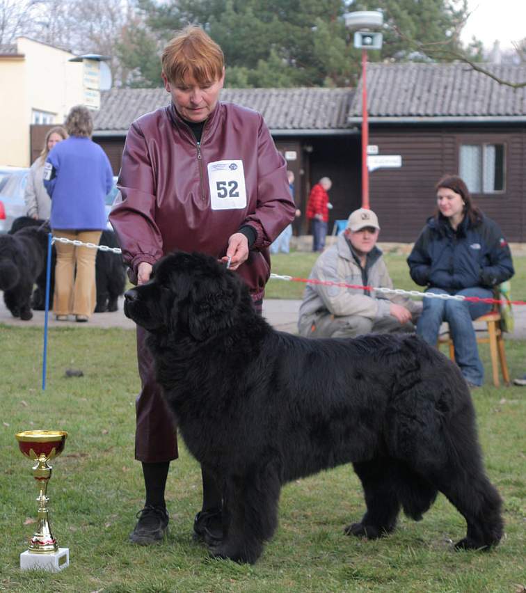 Klub.vítězka, CAC a BOB
