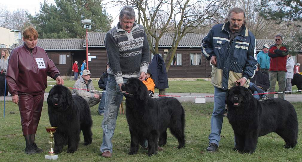 Feny o Klubového Vítěze