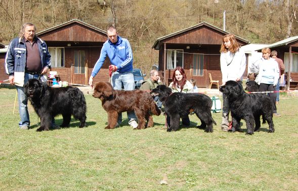 Otec Dasty od Trojské skály, Aslan a Athos Savage Blow, matka Unka Severozápadní cesta  