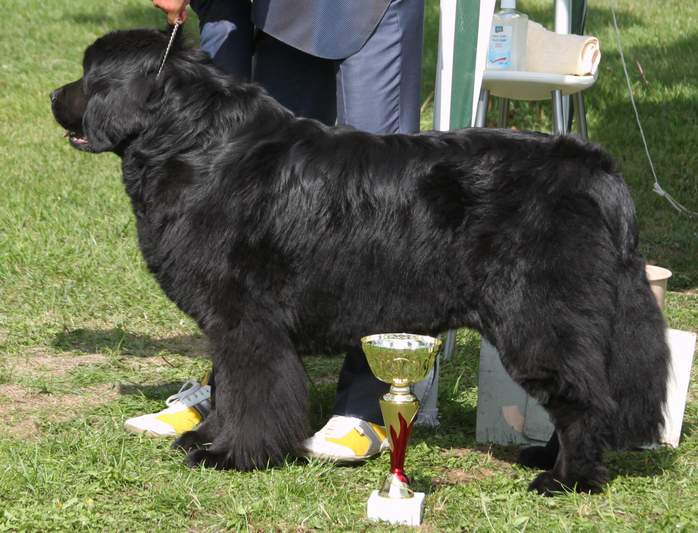 kv2012-f-det-w
