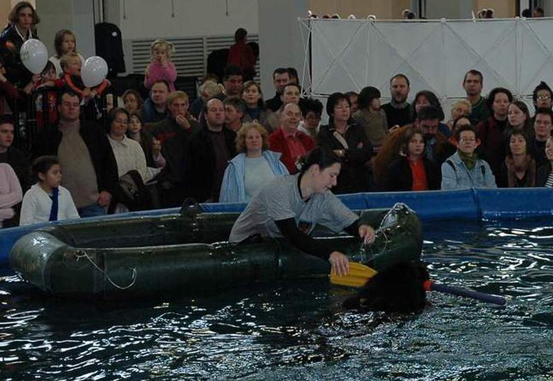Stuttgart Animal 2006