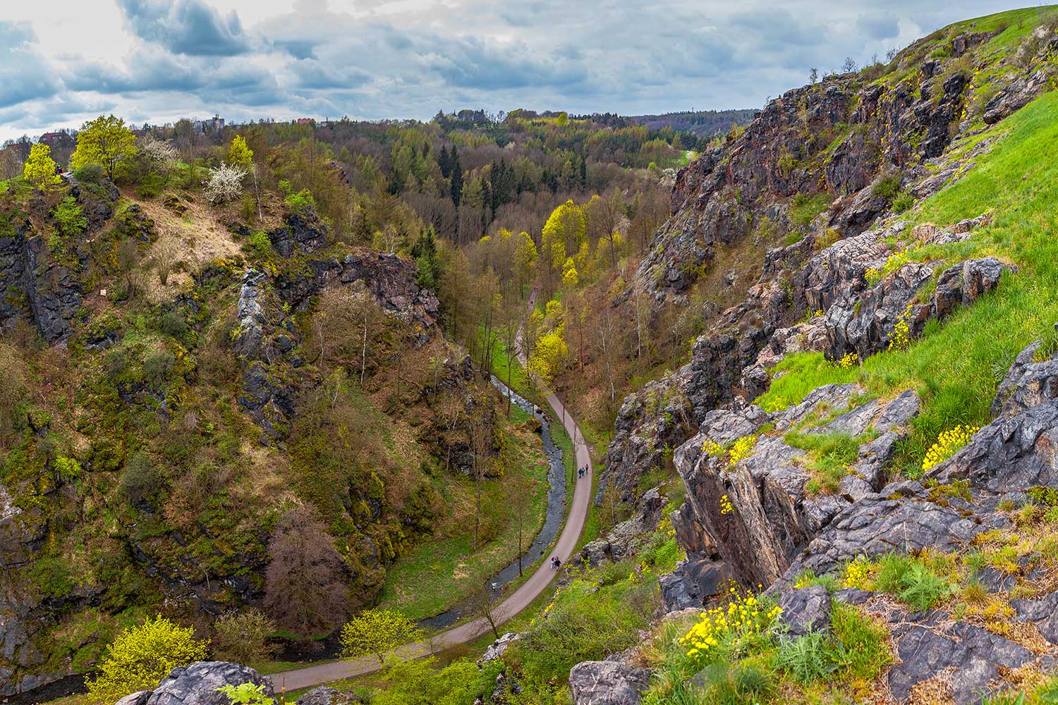 divoka sarka