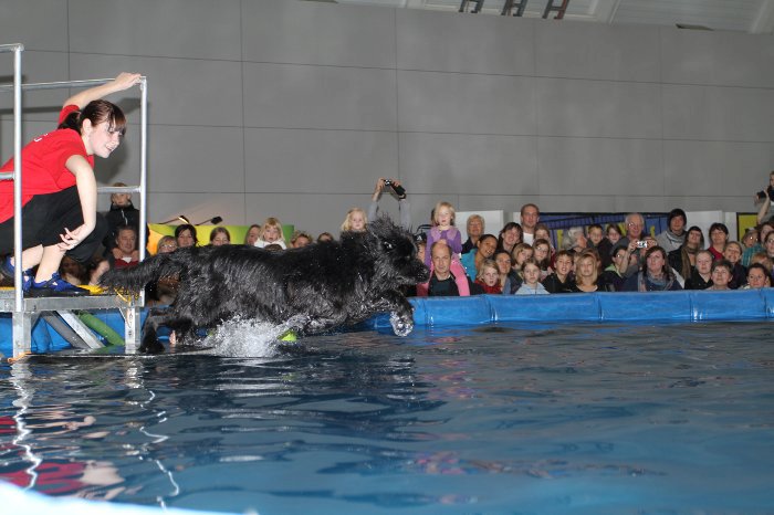 Jo... skákání mi šlo !