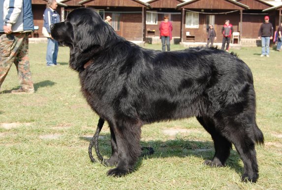 Benediktýna od Janova hradu